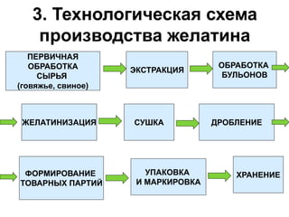 3. Технологическая схема
производства желатина
ПЕРВИЧНАЯ
ОБРАБОТКА
СЫРЬЯ
(говяжье, свиное)
ЭКСТРАКЦИЯ
ОБРАБОТКА
БУЛЬОНОВ
ЖЕЛАТИНИЗАЦИЯ СУШКА ДРОБЛЕНИЕ
ФОРМИРОВАНИЕ
ТОВАРНЫХ ПАРТИЙ
УПАКОВКА
И МАРКИРОВКА
ХРАНЕНИЕ
 