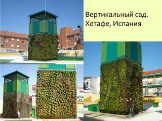 Вертикальный сад.
Хетафе, Испания
 