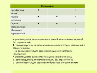 + -рекомендуется для озеленения в данной категории насаждений
без ограничений;
♦- рекомендуется для озеленения в данной категории насаждений с
ограничениями;
- -не рекомендуется для озеленения в данной категории
насаждений;
* -рекомендуется для озеленения улиц с ограничением;
Δ- рекомендуется для озеленения улиц без ограничений;
о - рекомендуется для озеленения бульваров с ограничением;
Кустарники
Ирга (разные
виды)
♦ - +
Калина
гордовина
♦ ♦ +
Сирень
обыкновенная
♦ ♦ +
Шиповник
морщинистый
+ + +
 