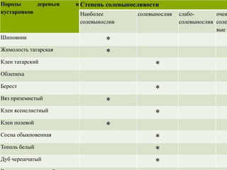 Породы деревьев и
кустарников
Степень солевыносливости
Наиболее
солевынослив
солевынослив слабо-
солевынослив
очен
соле
вые
Шиповник
*
Жимолость татарская
*
Клен татарский
*
Облепиха
Берест
*
Вяз приземистый
*
Клен ясенелистный
*
Клен полевой
*
Сосна обыкновенная
*
Тополь белый
*
Дуб черешчатый
*
 