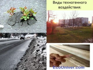 Виды техногенного
воздействия:
 