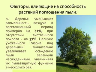 Факторы, влияющие на способность
растений поглощения пыли:
1. Деревья уменьшают
запыленность воздуха в
вегетационный период
примерно на 42%, при
отсутствии лиственного
покрова - на 37%. Наличие
ухоженного газона под
деревьями значительно
увеличивает осаждение
пыли зелеными
насаждениями, увеличивая
их пылезащитную функцию
в несколько раз.
 