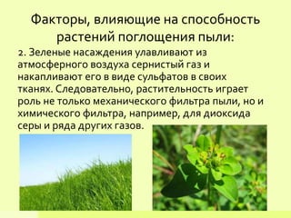 2. Зеленые насаждения улавливают из
атмосферного воздуха сернистый газ и
накапливают его в виде сульфатов в своих
тканях. Следовательно, растительность играет
роль не только механического фильтра пыли, но и
химического фильтра, например, для диоксида
серы и ряда других газов.
Факторы, влияющие на способность
растений поглощения пыли:
 