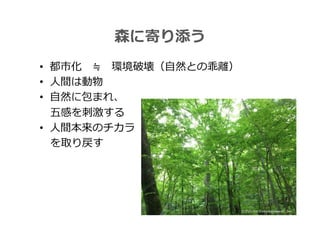 • 
• 
• 
• 
 