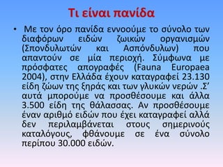 Τι είναι πανίδα
• Με τον όρο πανίδα εννοούμε το σύνολο των
διαφόρων ειδών ζωικών οργανισμών
(Σπονδυλωτών και Ασπόνδυλων) που
απαντούν σε μία περιοχή. Σύμφωνα με
πρόσφατες απογραφές (Fauna Europaea
2004), στην Ελλάδα έχουν καταγραφεί 23.130
είδη ζώων της ξηράς και των γλυκών νερών .Σ’
αυτά μπορούμε να προσθέσουμε και άλλα
3.500 είδη της θάλασσας. Αν προσθέσουμε
έναν αριθμό ειδών που έχει καταγραφεί αλλά
δεν περιλαμβάνεται στους σημερινούς
καταλόγους, φθάνουμε σε ένα σύνολο
περίπου 30.000 ειδών.
 