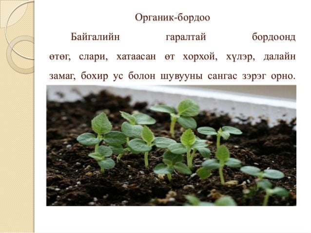 Ооо органик нива