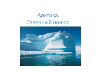 Арктика.
Северный полюс.
 