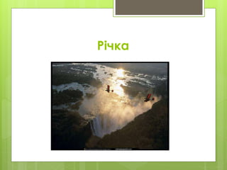 Річка
 