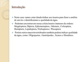 Introdução
 Neste caso vamos estar dando ênfase aos insetos para fazer a análise
de um rio e identificarmos a qualidadeda água.
 Podemos encontrarem nossa coletainsetos imaturos da ordens:
Megaloptera, Diptera, Ephemeroptera , Odonata , Coleoptera,
Hemiptera, Lepidoptera, Trichopterae Plecoptera
 Porém outrosmacroinvertebradostambém podemindicar qualidade
da água, como: Oligoquetas , Gastrópodes, Ácaros e Hirudinos.
 