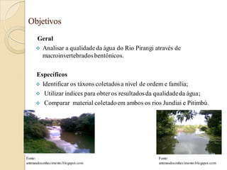 Objetivos
Geral
 Analisar a qualidadeda água do Rio Pirangi através de
macroinvertebradosbentônicos.
Específicos
 Identificar os táxons coletadosa nível de ordem e família;
 Utilizar índices para obteros resultadosda qualidadeda água;
 Comparar material coletadoem ambos os rios Jundiai e Pitimbú.
Fonte:
antenasdoconhecimento.blogspot.com
Fonte:
antenasdoconhecimento.blogspot.com
 