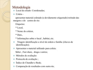 Metodologia
 Local de estudo: Coordenadas;
 Coleta -
apresentar material coletado (e devidamente etiquetado) retirado das
margens e do centro do rio:
Etiquetas:
* Local,
* Nome do coletor,
* Data ,
* Informações sobre o local , habitat, etc.
 Triagem identificação a nível de ordem e família (chaves de
identificação);
 Apresentar o material utilizado para coleta:
Súber , Fast share, draga e outros;
 Métodos de avaliação:
 Protocolo de avaliação ;
 Índice de Chandler e Beak;
 Comparação de resultados com outro rio;
 