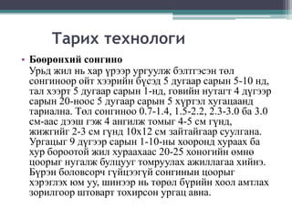 Сонгино | PPT