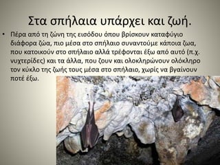 Στα σπήλαια υπάρχει και ζωή.
• Πέρα από τη ζώνη της εισόδου όπου βρίσκουν καταφύγιο
διάφορα ζώα, πιο μέσα στο σπήλαιο συναντούμε κάποια ζωα,
που κατοικούν στο σπήλαιο αλλά τρέφονται έξω από αυτό (π.χ.
νυχτερίδες) και τα άλλα, που ζουν και ολοκληρώνουν ολόκληρο
τον κύκλο της ζωής τους μέσα στο σπήλαιο, χωρίς να βγαίνουν
ποτέ έξω.
 