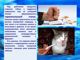 Под действием продуктов
сгорания табака у подростка
нарушается еще не успевший
толком сформироваться
гормональный статус.
Никотин влияет практически на все
железы внутренней секреции, в
том числе и на половые железы у
мальчиков и девочек. А это грозит
недоразвитием всего организма,
появлением лишнего веса и
нарушением репродуктивных
возможностей человека в
будущем.
Есть данные, что курение может
привести к повреждению клеток и
изменению статуса иммунной
системы, повышая риск развития
лейкоза.
 