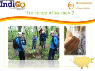 Что такое «Лингва» ?
3
1
 