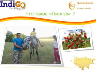 Что такое «Лингва» ?
3
1
 