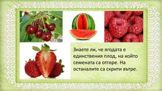 Знаете ли, че ягодата е
единствения плод, на който
семената са отгоре. На
останалите са скрити вътре.
 
