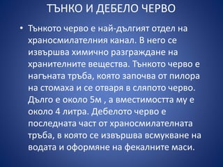 Храносмилателна система | PPT