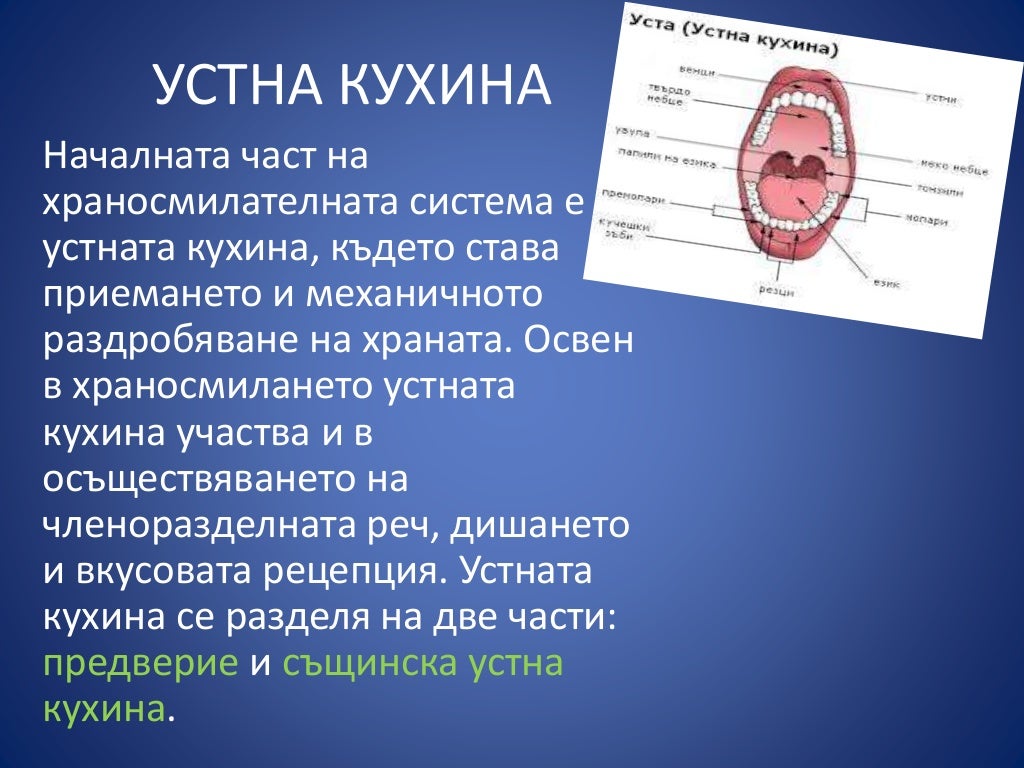 Храносмилателна система