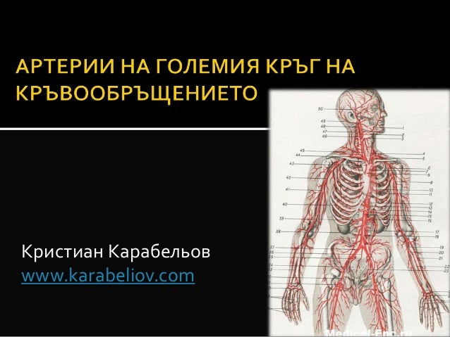 Анатомия страсти карина