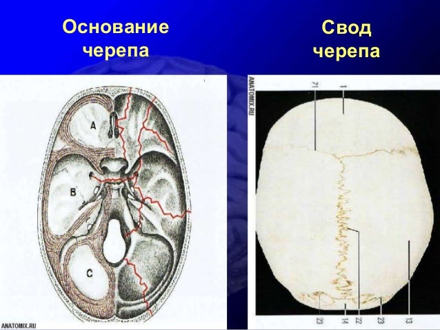 Поверхностная травма головы код. Поверхностная травма головы.