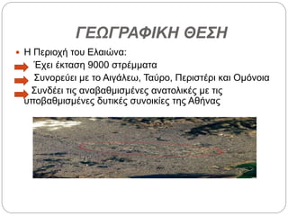 ΓΕΩΓΡΑΦΙΚΗ ΘΕΣΗ
 Η Περιοχή του Ελαιώνα:
Έχει έκταση 9000 στρέμματα
Συνορεύει με το Αιγάλεω, Ταύρο, Περιστέρι και Ομόνοια
Συνδέει τις αναβαθμισμένες ανατολικές με τις
υποβαθμισμένες δυτικές συνοικίες της Αθήνας
 