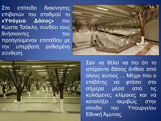 Σαν να θέλει να πει ότι το
απέραντο δάσος άνθισε από
όλους αυτούς … Μέχρι που ο
επιβάτης να φτάσει στο
σήμερα μέσα από τις
κυλιόμενες κλίμακες και να
καταλήξει ακριβώς στην
είσοδο του Υπουργείου
Εθνική Άμυνας.
Στο επίπεδο διακίνησης
επιβατών του σταθμού το
«Υπόγειο Δάσος» του
Κώστα Τσόκλη, συνδέει τους
θνήσκοντες του
προηγούμενου επιπέδου με
την υπερβατή ανθισμένη
σύνθεση.
 