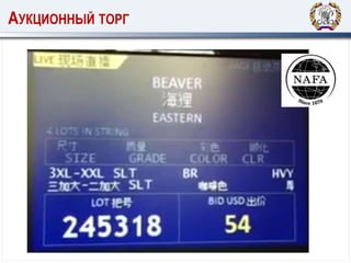 АУКЦИОННЫЙ ТОРГ
 