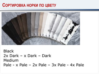 Black
2x Dark – x Dark – Dark
Medium
Pale - x Pale – 2x Pale – 3x Pale - 4x Pale
СОРТИРОВКА НОРКИ ПО ЦВЕТУ
 