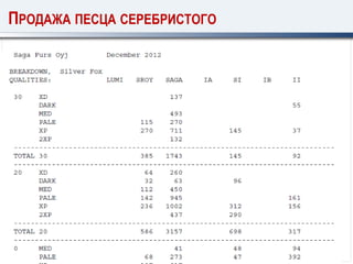 ПРОДАЖА ПЕСЦА СЕРЕБРИСТОГО
 