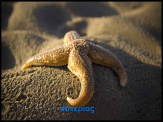 αστερίας
 