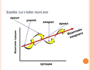 ЭДИЙН ЗАСГИЙН МӨЧЛӨГ
Өсөлтийнтүвшин
оргил
хугацаа
уналт
хямрал
өрнөл
 