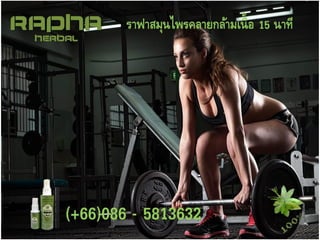 ราฟาสมุนไพรคลายกล้าม๶Ȩ้ออักเสบ