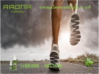ราฟาสมุนไพรคลายกล้าม๶Ȩ้ออักเสบ