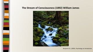 The Stream of Consciousness (1892) William James
Benjamin B. L (2003). Psychology an Introduction.
 