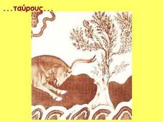 ...ταύρους...
 