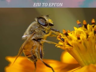 ΕΠΙ ΤΟ ΕΡΓΟΝ
 