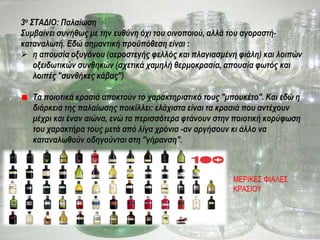 3ο ΣΤΑΔΙΟ: Παλαίωση
Συμβαίνει συνήθως με την ευθύνη όχι του οινοποιού, αλλά του αγοραστή-
καταναλωτή. Εδώ σημαντική προϋπόθεση είναι :
 η απουσία οξυγόνου (αεροστεγής φελλός και πλαγιασμένη φιάλη) και λοιπών
οξειδωτικών συνθηκών (σχετικά χαμηλή θερμοκρασία, απουσία φωτός και
λοιπές "συνθήκες κάβας")
Τα ποιοτικά κρασιά αποκτούν το χαρακτηριστικό τους "μπουκέτο". Και εδώ η
διάρκεια της παλαίωσης ποικίλλει: ελάχιστα είναι τα κρασιά που αντέχουν
μέχρι και έναν αιώνα, ενώ τα περισσότερα φτάνουν στην ποιοτική κορύφωση
του χαρακτήρα τους μετά από λίγα χρόνια -αν αργήσουν κι άλλο να
καταναλωθούν οδηγούνται στη "γήρανση".
ΜΕΡΙΚΕΣ ΦΙΑΛΕΣ
ΚΡΑΣΙΟΥ
 