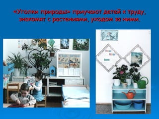 «Уголки природы» приучают детей к труду,«Уголки природы» приучают детей к труду,
знакомят с растениями, уходом за ними.знакомят с растениями, уходом за ними.
 