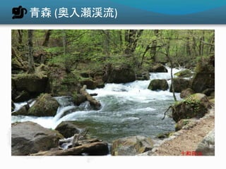 青森 (奥入瀬渓流)
 