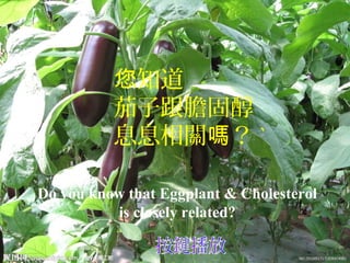 Do you know that Eggplant & Cholesterol
is closely related?
知道您
茄子跟膽固醇
息息相關 ？嗎 `
 