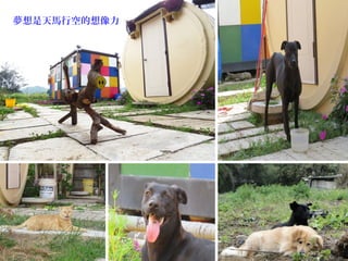 夢想是天馬行空的想像力
 