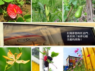 打開夢想的任意門 ,
我看到了如夢幻般
美麗的萬物 !
 