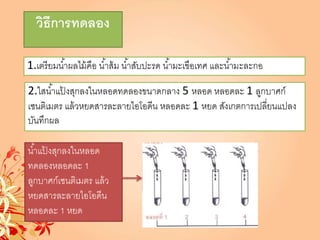 วิธีการทดลอง
1.เตรียมน้าผลไม้คือ น้าส้ม น้าสับปะรด น้ามะเขือเทศ และน้ามะละกอ
2.ใสน้าแป้ งสุกลงในหลอดทดลองขนาดกลาง 5 หลอด หลอดละ 1 ลูกบาศก์
เซนติเมตร แล้วหยดสารละลายไอโอดีน หลอดละ 1 หยด สังเกตการเปลี่ยนแปลง
บันทึกผล
น้าแป้ งสุกลงในหลอด
ทดลองหลอดละ 1
ลูกบาศก์เซนติเมตร แล้ว
หยดสารละลายไอโอดีน
หลอดละ 1 หยด
 