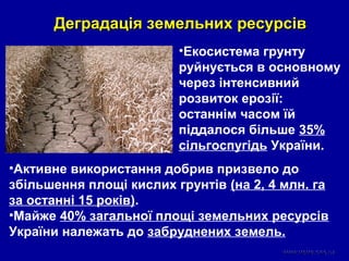 Деградація земельних ресурсівДеградація земельних ресурсів
•Активне використання добрив призвело до
збільшення площі кислих грунтів (на 2, 4 млн. га
за останні 15 років).
•Майже 40% загальної площі земельних ресурсів
України належать до забруднених земель.
•Екосистема грунту
руйнується в основному
через інтенсивний
розвиток ерозії:
останнім часом їй
піддалося більше 35%
сільгоспугідь України.
 