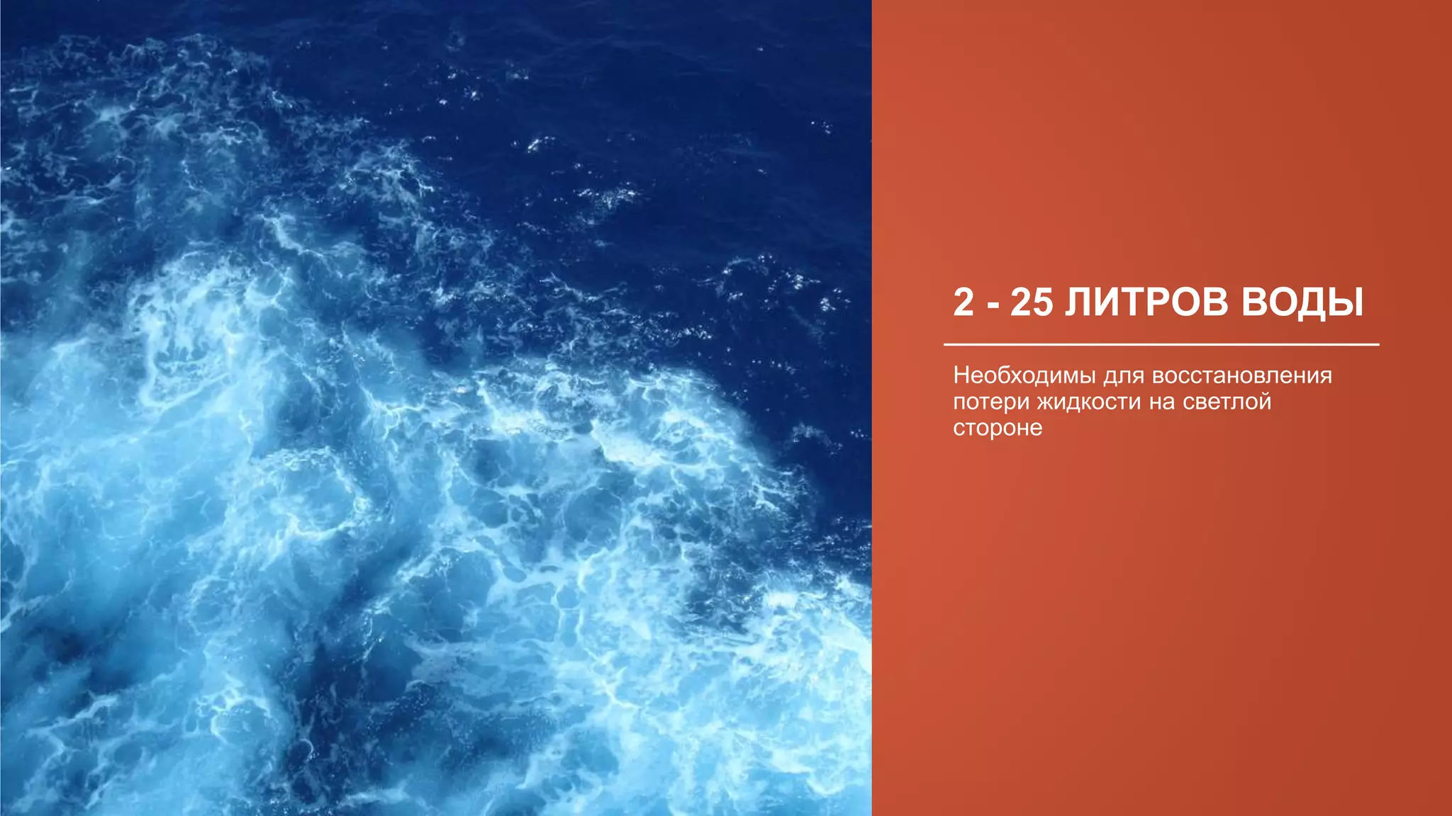 2 - 25 ЛИТРОВ ВОДЫ
Необходимы для восстановления
потери жидкости на светлой
стороне
 