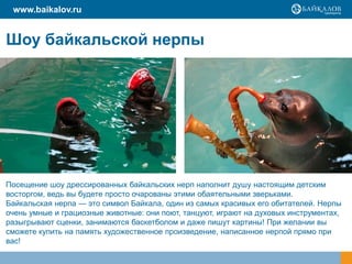 Шоу байкальской нерпы
Посещение шоу дрессированных байкальских нерп наполнит душу настоящим детским
восторгом, ведь вы будете просто очарованы этими обаятельными зверьками.
Байкальская нерпа — это символ Байкала, один из самых красивых его обитателей. Нерпы
очень умные и грациозные животные: они поют, танцуют, играют на духовых инструментах,
разыгрывают сценки, занимаются баскетболом и даже пишут картины! При желании вы
сможете купить на память художественное произведение, написанное нерпой прямо при
вас!
www.baikalov.ru
 