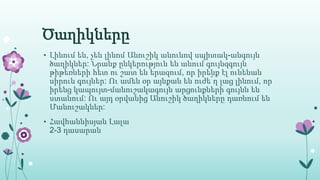 Ծաղիկները
• Լինում են, չեն լինոմ Անուշիկ անունով սպիտակ-անգույն
ծաղիկներ: Նրանք ընկերություն են անում գույնզգույն
թիթեռների հետ ու շատ են երազում, որ իրենք էլ ունենան
սիրուն գույներ: Ու ամեն օր այնքան են ուժե՜ղ լաց լինում, որ
իրենց կապույտ-մանուշակագույն արցունքների գույնն են
ստանում: Ու այդ օրվանից Անուշիկ ծաղիկները դառնում են
Մանուշակներ:
• Հավհաննիսյան Լալա
2-3 դասարան
 