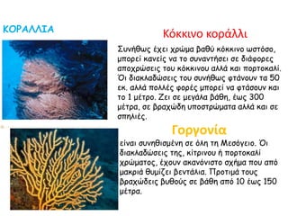 ΚΟΡΑΛΛΙΑ
Κόκκινο κοράλλι
Γοργονία
είναι συνηθισμένη σε όλη τη Μεσόγειο. Όι
διακλαδώσεις της, κίτρινου ή πορτοκαλί
χρώματος, έχουν ακανόνιστο σχήμα που από
μακριά θυμίζει βεντάλια. Προτιμά τους
βραχώδεις βυθούς σε βάθη από 10 έως 150
μέτρα.
Συνήθως έχει χρώμα βαθύ κόκκινο ωστόσο,
μπορεί κανείς να το συναντήσει σε διάφορες
αποχρώσεις του κόκκινου αλλά και πορτοκαλί.
Όι διακλαδώσεις του συνήθως φτάνουν τα 50
εκ. αλλά πολλές φορές μπορεί να φτάσουν και
το 1 μέτρο. Ζει σε μεγάλα βάθη, έως 300
μέτρα, σε βραχώδη υποστρώματα αλλά και σε
σπηλιές.
 