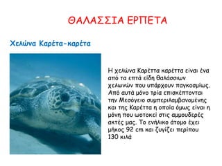 ΘΑΛΑΣΣΙΑ ΕΡΠΕΤΑ
Χελώνα Καρέτα-καρέτα
Η χελώνα Καρέττα καρέττα είναι ένα
από τα επτά είδη θαλάσσιων
χελωνών που υπάρχουν παγκοσμίως.
Από αυτά μόνο τρία επισκέπτονται
την Μεσόγειο συμπεριλαμβανομένης
και της Καρέττα η οποία όμως είναι η
μόνη που ωοτοκεί στις αμμουδερές
ακτές μας. Το ενήλικο άτομο έχει
μήκος 92 cm και ζυγίζει περίπου
130 κιλά
 